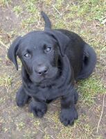 Sam