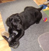 ... und Schuhe ...