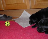 Beim Spielen