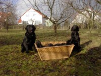 Die ganze Familie
